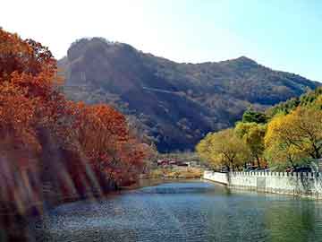 新澳天天开奖资料大全旅游团，青岛绿色食品博览会